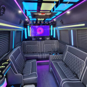 SPRINTER LIMOUSINE